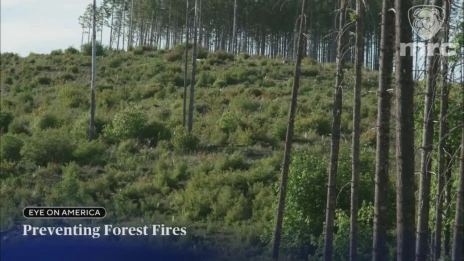 Video 115962 thumbnail 1