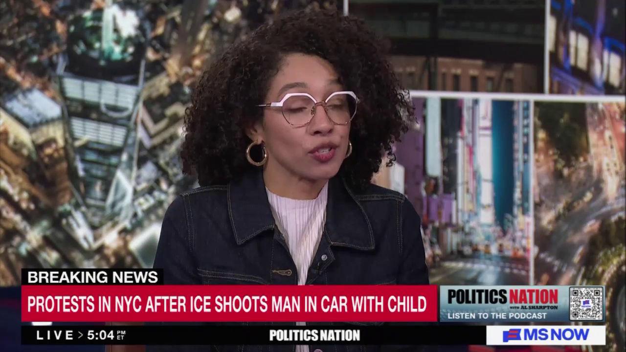 ON MS NOW's 'Politics Nation', Al Sharpton Never Mentions The Illegal Status Or Criminal Record Of NYC ICE Shooting Victim
